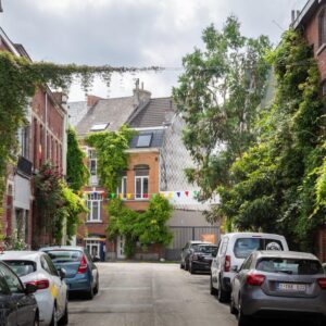 groene prikkels in de Stropwijk Gentil